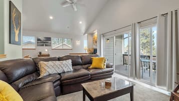 Télévision, cheminée, lecteur de DVD, livres