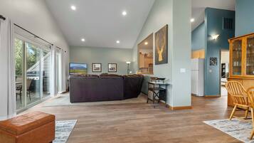 Télévision, cheminée, lecteur de DVD, livres