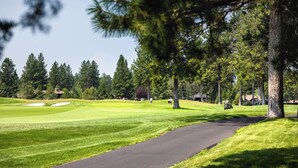 Un campo de golf con un césped bien cuidado, un sendero pavimentado y altos árboles.