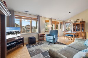 TV, fireplace, books, offices