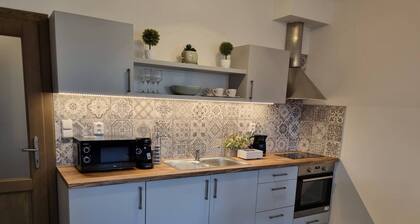 Luxury apartment in the Great Square