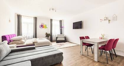 Large apartment on the square of Hradec Králové