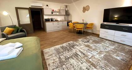 Apartment in the attic on the Big Square