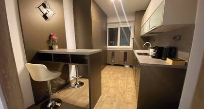 Modern large apartment 2+kk at confluence