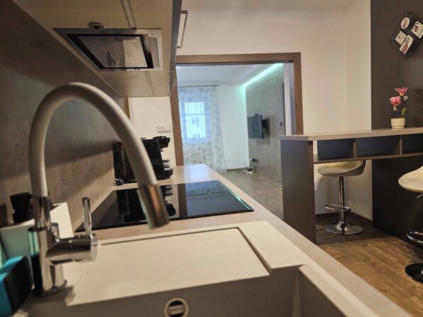 Private kitchen - Modern large apartment 2+kk at confluence

 (Královéhradecký kraj)