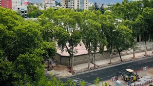 Un paisaje urbano con un edificio destacado de techo triangular distintivo, rodeado de frondosos árboles verdes y un cielo despejado.
