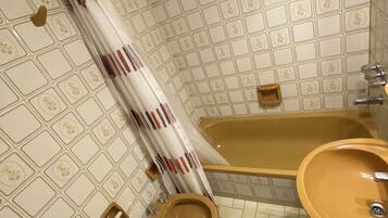 Hair dryer, bidet, towels, soap
