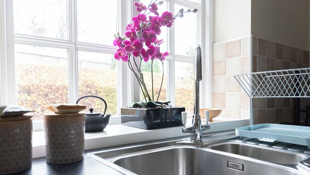 A kitchen with a stainless steel sink, a window with a view of trees, and a vase with pink flowers on the windowsill. - Keeper's Cottage - North East Escapes  (Stocksfield)