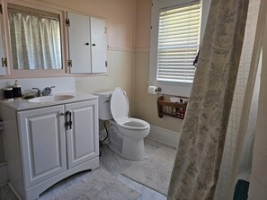 Shower, hair dryer, soap, toilet paper