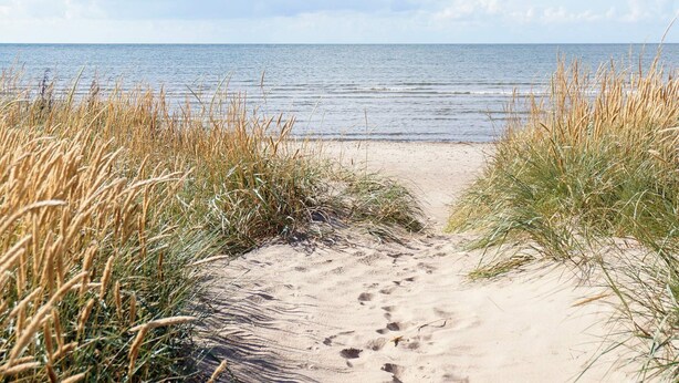 A sandy beach path leading to the sea, surrounded by tall grass. - 5 Person Holiday Home in Falkenberg (Falkenberg)