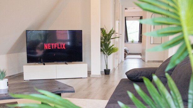 Una sala de estar moderna con un televisor de pantalla plana sobre un soporte blanco, un sofá de color oscuro y una planta en maceta en primer plano.