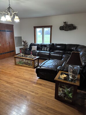 Smart TV, DVD player, video library