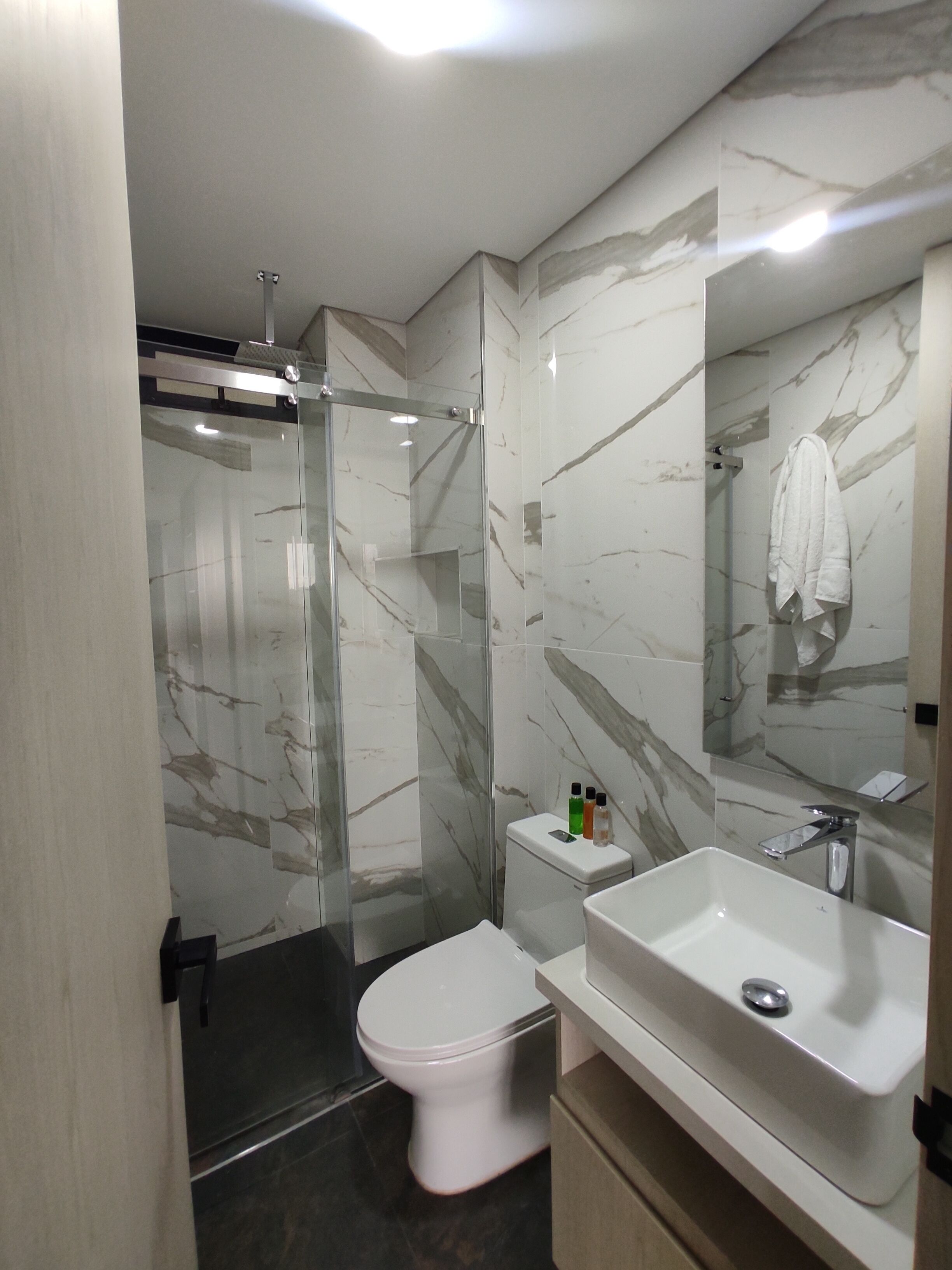 A modern bathroom with a glass shower enclosure, a toilet, and a sink with a large mirror.