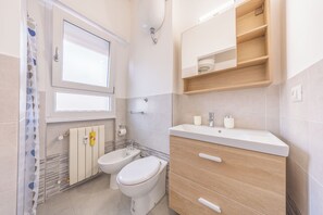 Shower, hair dryer, bidet, towels
