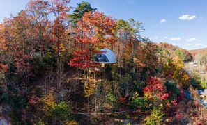 Miscellaneous - Hummingbird Dome | Private Sauna and Hot tub (Balsam Grove)