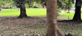 Cozy one bedroom guest house on peaceful 5 acre mango farm in Loxahatchee .