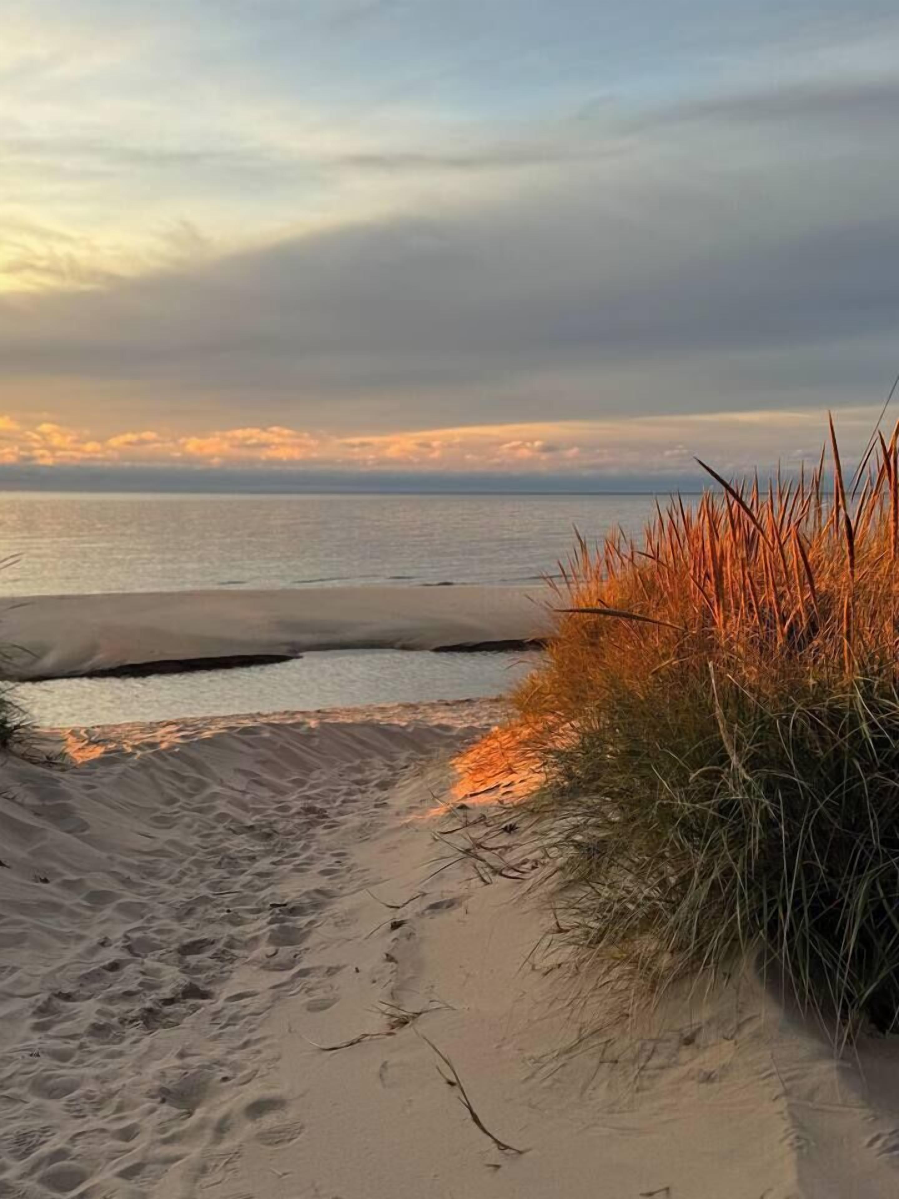 Sun-loungers, beach towels
