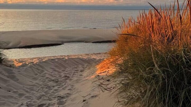 A sandy beach path leading to the sea with tall grasses on the right. - Dunes & Waves Retreat -  Perfect Lake Getaway (Mears)
