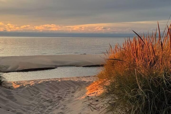 Camastros y toallas de playa