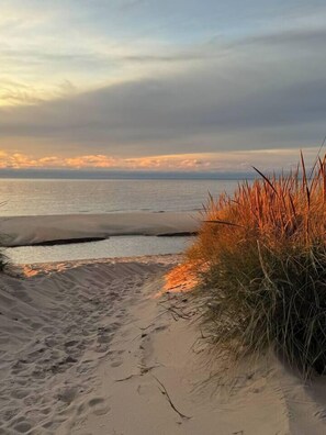 A sandy beach path leading to the sea with tall grasses on the right.