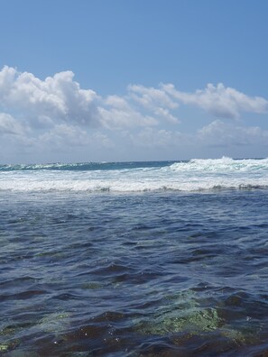House, 3 Bedrooms, Accessible, Smoking | Beach