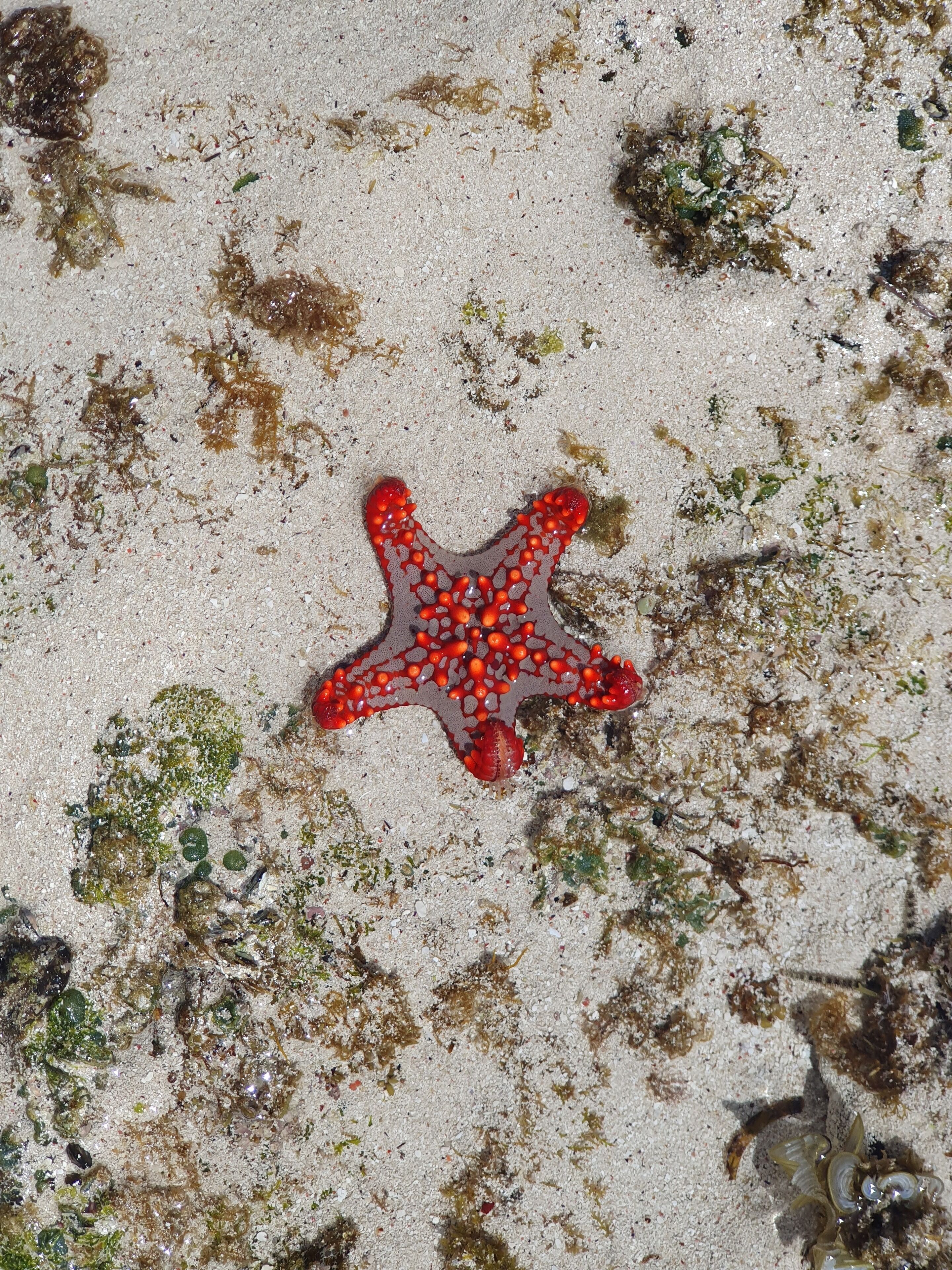 Nhà, 3 phòng ngủ, phù hợp cho người khuyết tật, hút thuốc | Khác