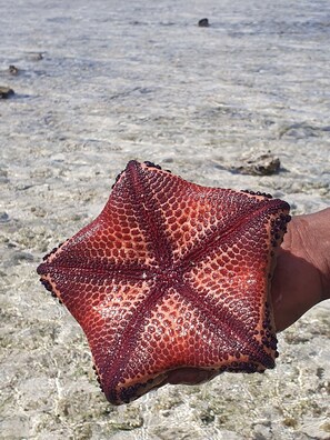 Hus - 3 soveværelser - handicapvenligt - ryger | Diverse