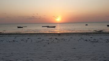 House, 3 Bedrooms, Accessible, Smoking | Beach