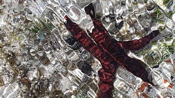 Nhà, 3 phòng ngủ, phù hợp cho người khuyết tật, hút thuốc | Khác