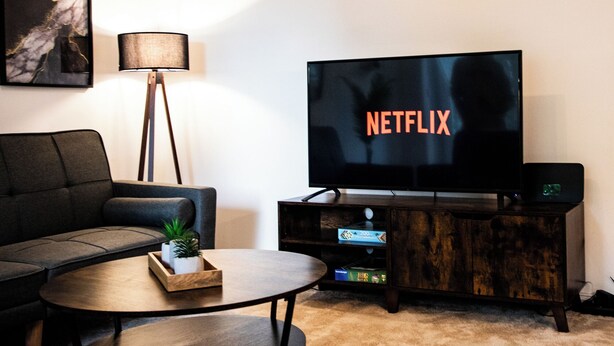 Un salón con un sofá, una mesa de centro con una planta, un televisor mostrando 'NETFLIX', una lámpara y un mueble de madera con una consola de videojuegos.