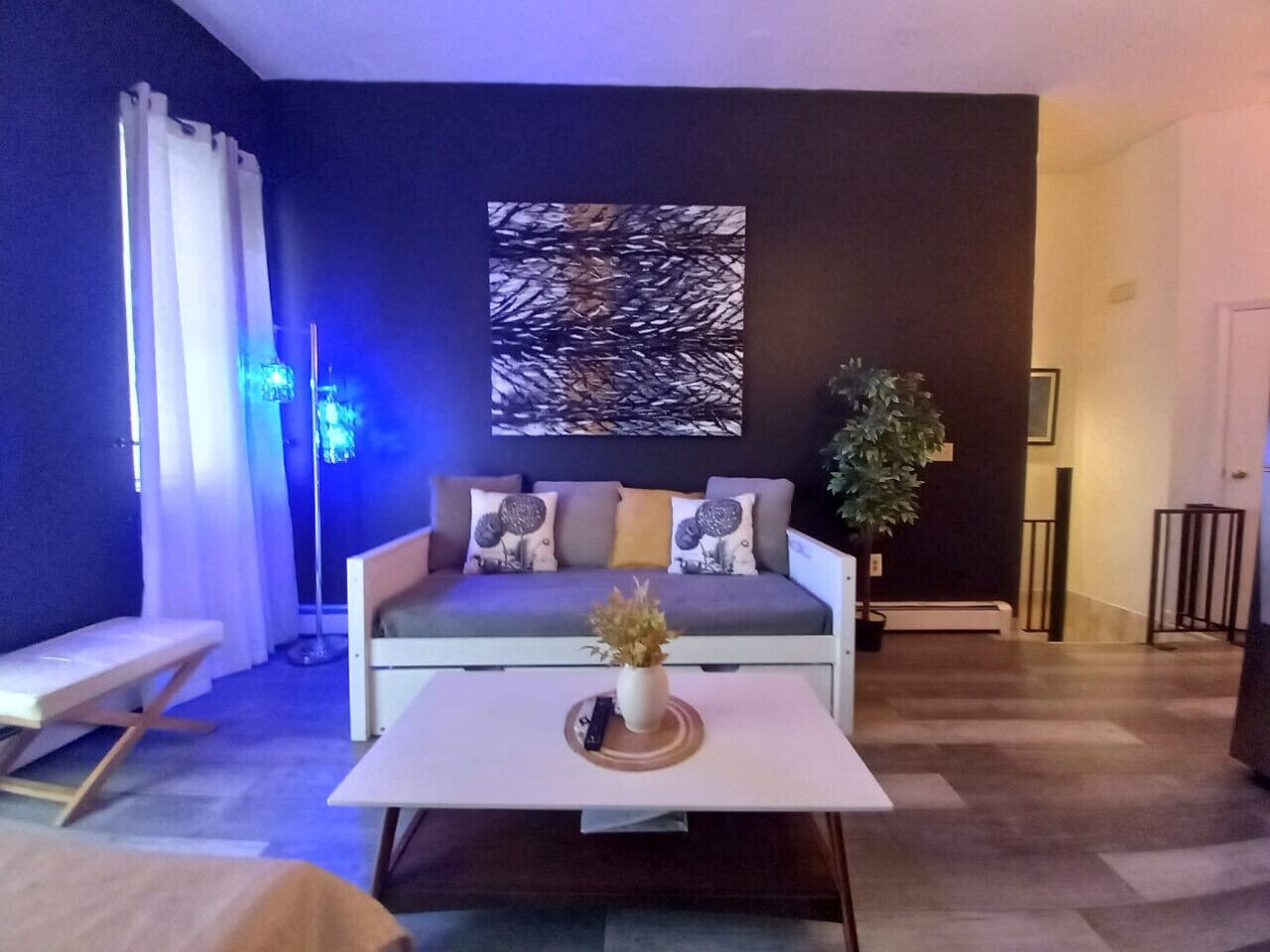 Smart TV, fireplace, DVD player, books