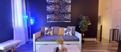 Una Smart TV, una chimenea, un reproductor de DVD, libros