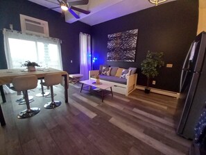 Smart TV, fireplace, DVD player, books