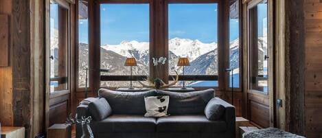 Télévision, cheminée, lecteur de DVD, livres