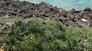 A coastal landscape with clear turquoise waters, rocky foreground, and a distant horizon. - COCO SAI, where you will see the majesty of the sea and the sky as one.  (San Andrés)