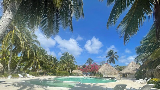 A pool area with lounge chairs and palm trees. - COCO SAI, where you will see the majesty of the sea and the sky as one.  (San Andrés)