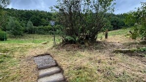 A stone pathway leading through a grassy area with a small tree and a signpost in the background. - Les Jonquilles - 3 chambres et garage privé (Cornimont)