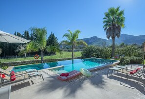 Una piscina con sillas de descanso y una palmera.