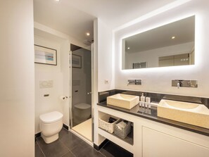 Shower, hair dryer, towels