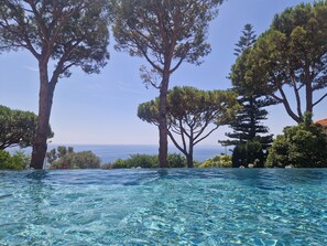 Une piscine aux eaux cristallines, avec vue sur la mer et les arbres.