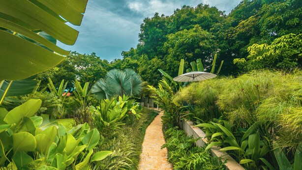 A stone pathway surrounded by lush greenery and a variety of tropical plants. - Del Tropico Hotel (Sopetrán)