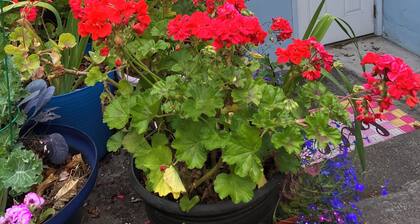 Lovely Garden Retreat Near Bart and Shops