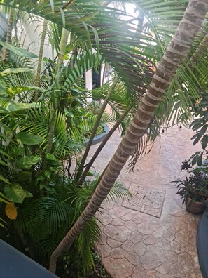 Exterior - TJ Apartments, Calle 6, PDC (Playa del Carmen)