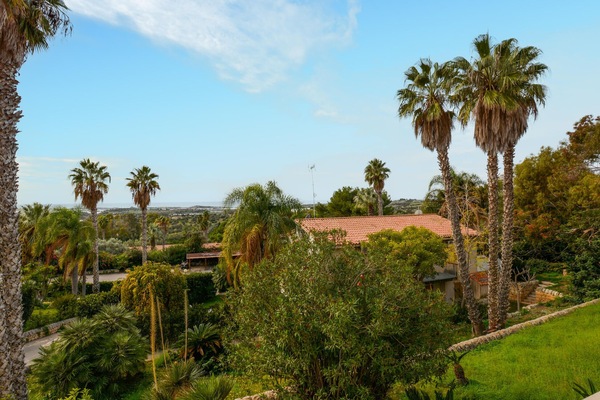 view-from-room