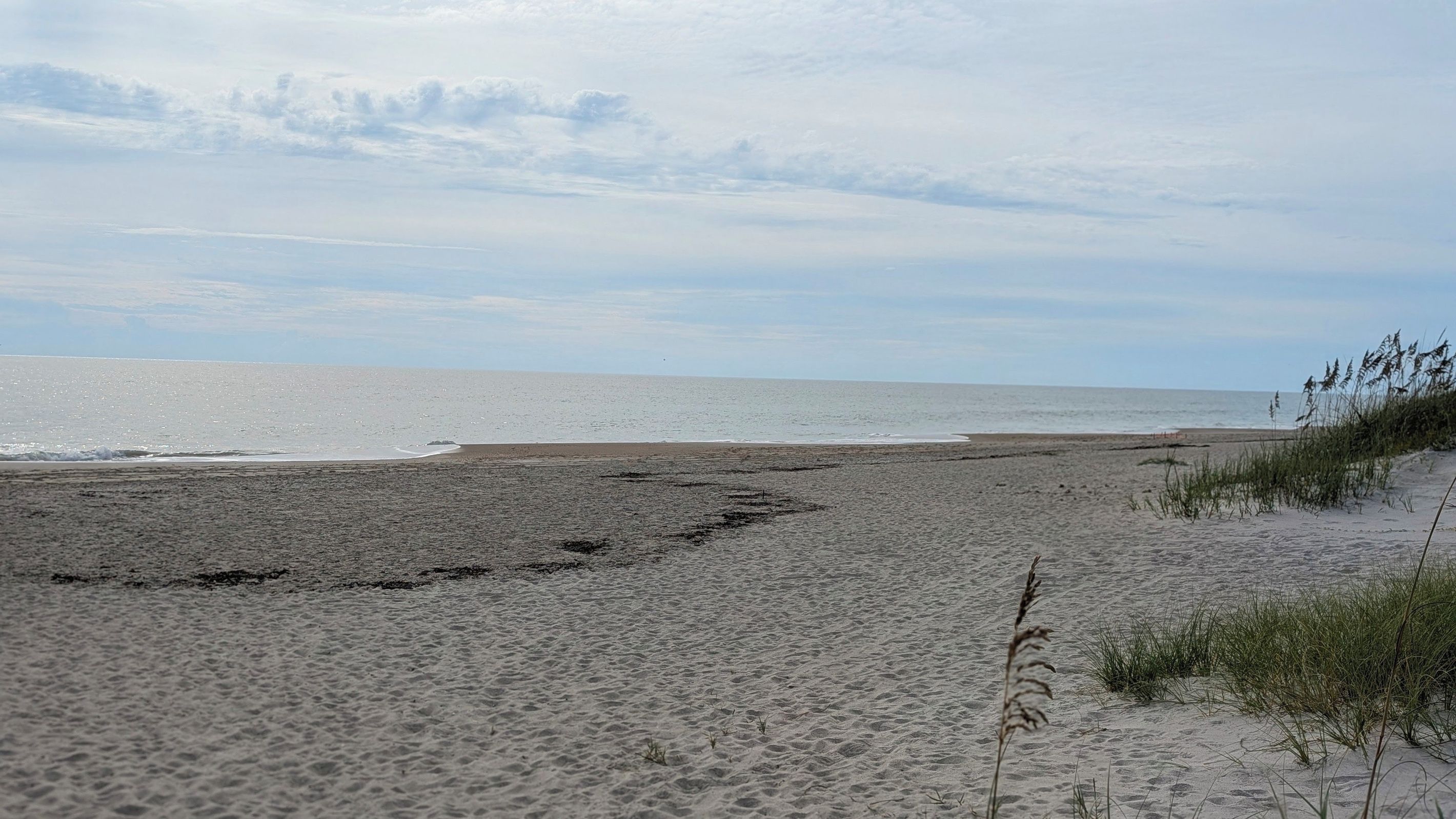 A beach with sand, sea, and sparse vegetation.