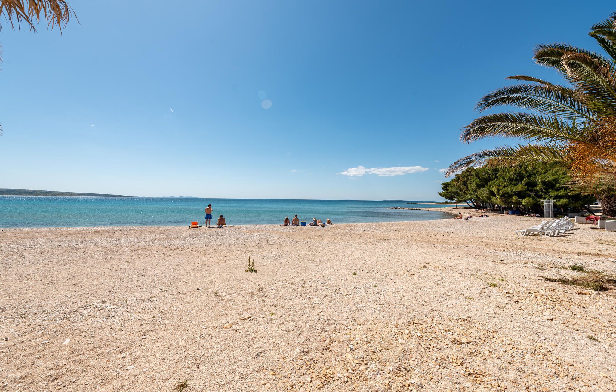 A beach with pebbles, clear blue water, and palm trees.