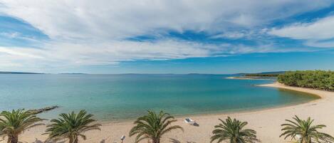 بالقرب من الشاطئ، صيد الأسماك