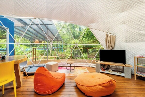 Smart TV, books