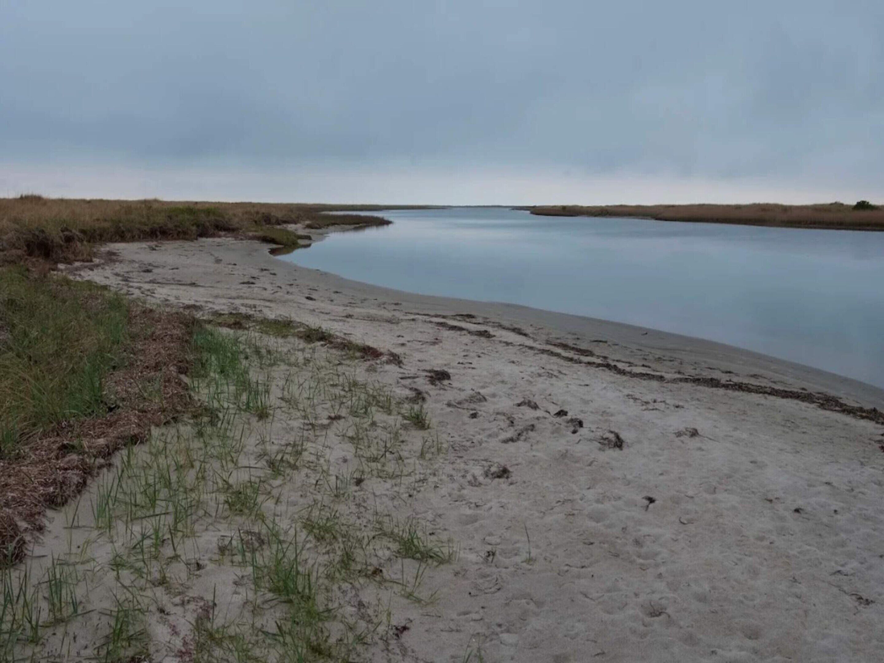 A calm riverbank with sparse vegetation and a clear sky.