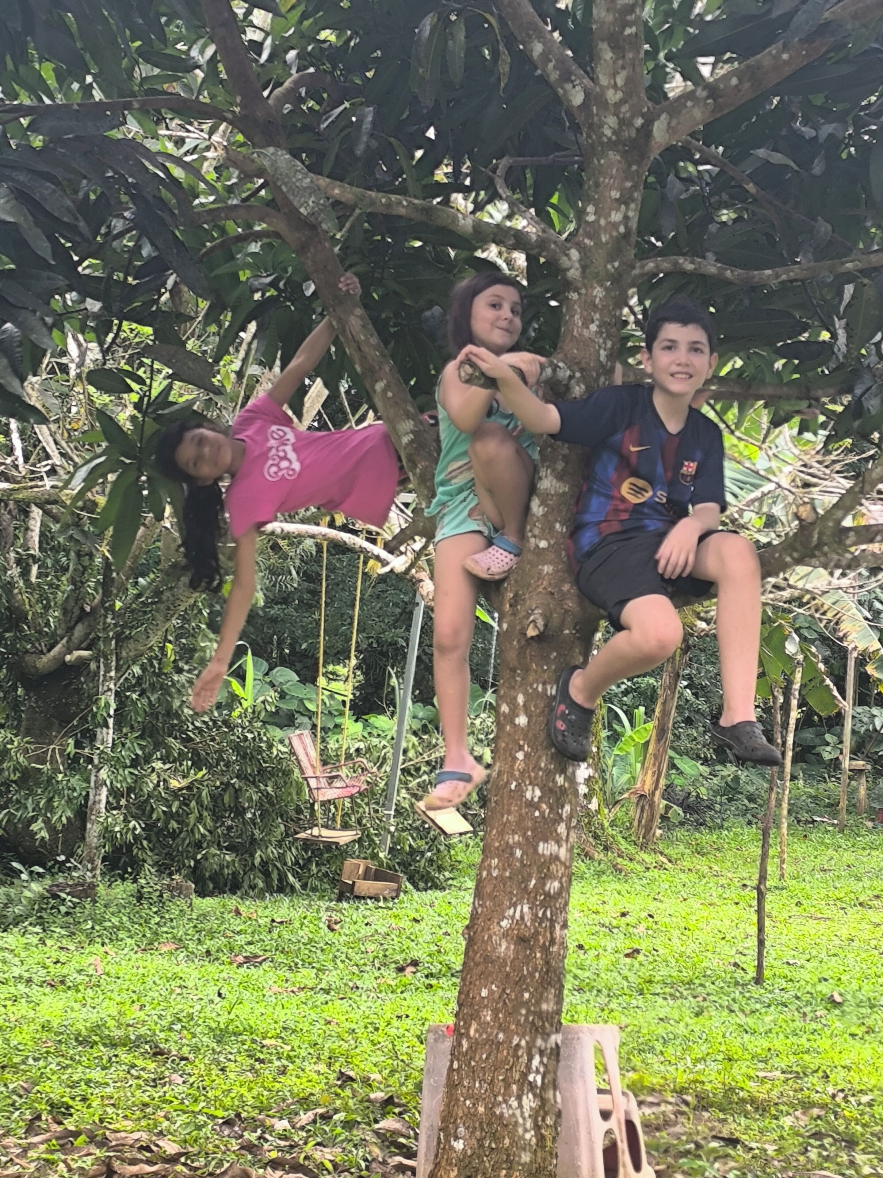 Three children playing on a tree swing in a lush garden.